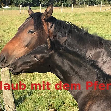 Hardtmuehle Momberg Appartement Buitenkant foto